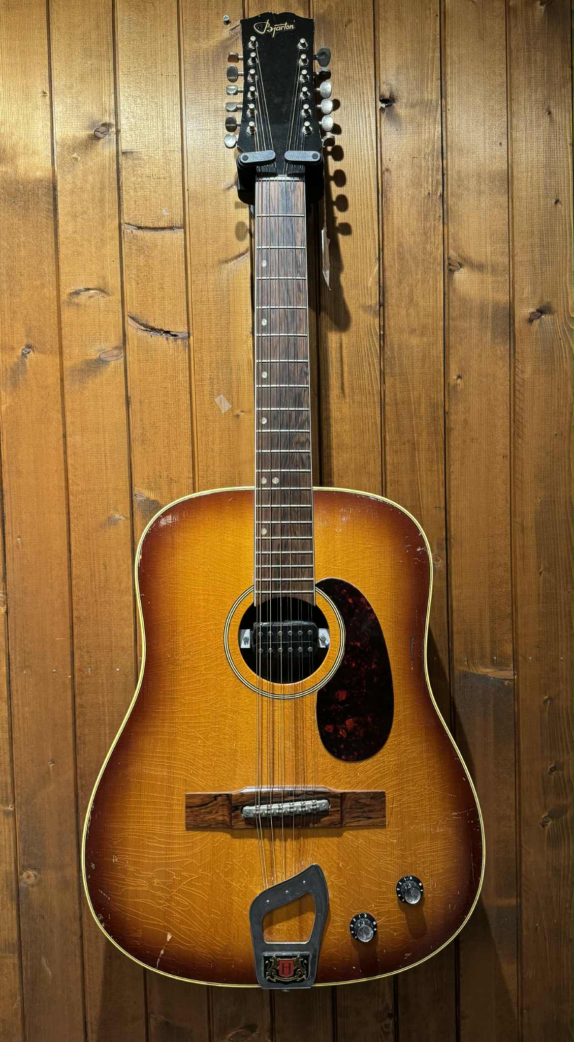 12-String Beg Ink Case